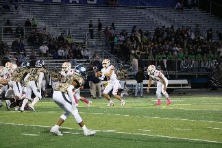 October 11 2019 IMG_206695